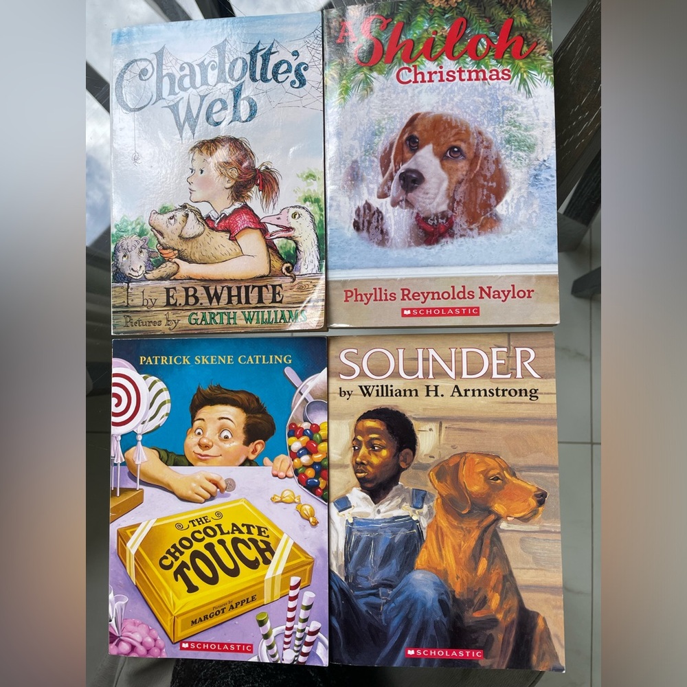 Scholastic 4 books for kids 8-12 years old.Very good condition